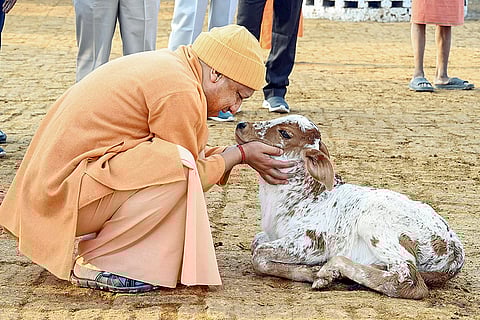 Adityanath at Gorakhnath Temple