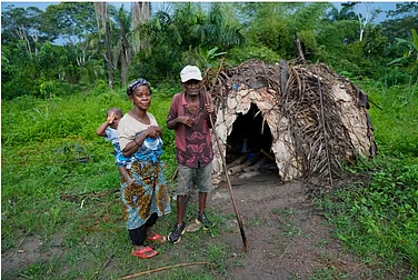 How Chinese Gold Mining Threatens Congo's Okapi Wildlife Reserve