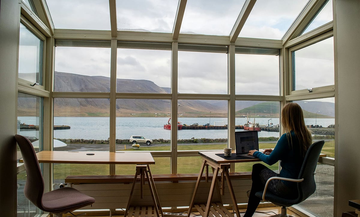 Navigating Remote Work: How New Zealand Businesses Are Evolving