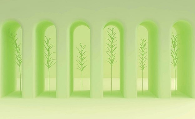 Research For Global Good! Mareva Etiko Redefining Social Impact Transformation