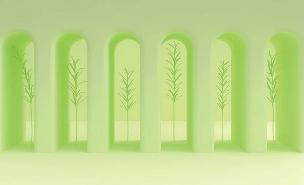 Representational Image