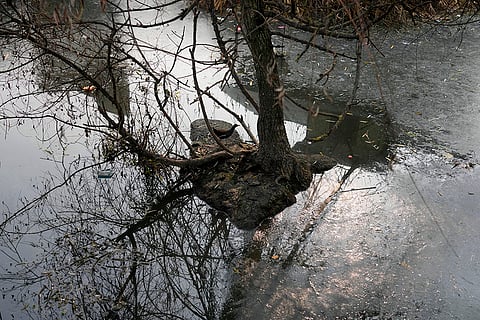 Cold wave in Kashmir valley: A bird rests near a frozen surface of a water