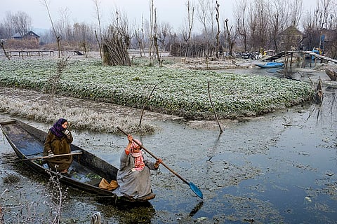 Cold wave in Kashmir valley: Women navigate the partially frozen interior of Dal Lake in a boat.