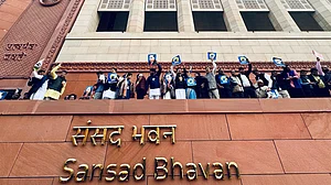 PTI : MPs protesting outside parliament building on Thursday