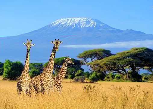 Visa-Free Destinations For Indian Travellers: New Year 2025