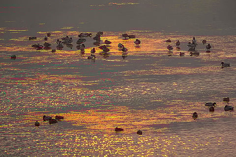 Weather: Coolest night in Srinagar