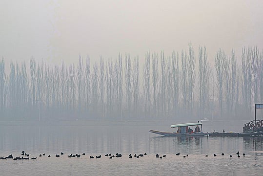 Dal Lake Freezes As Chillai Kalan Begins In Kashmir