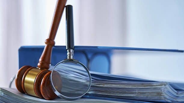 | Getty : India's Forest and Tree Cover Grows by 1,445 Sq Km In Two Years, Claims Govt Report