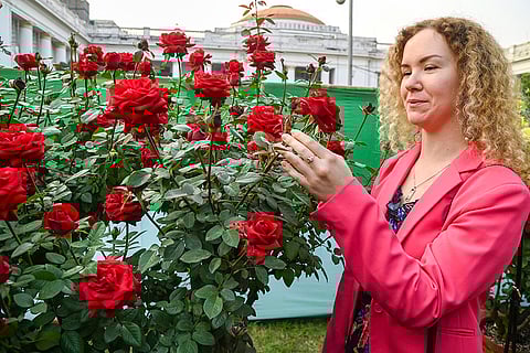 71st Annual Chrysanthemum and Flower Show