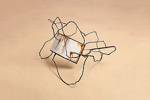 Informer 3 Artwork by British artist Bill Woodrow