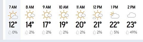Melbourne Hourly Weather