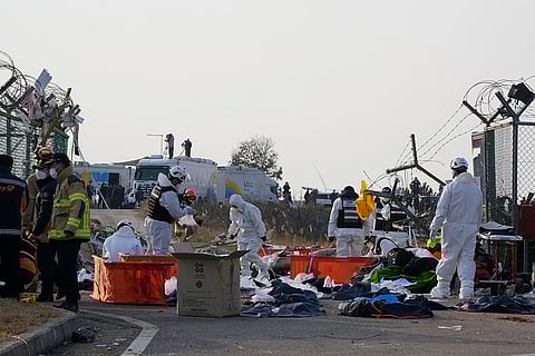 South Korea air accident