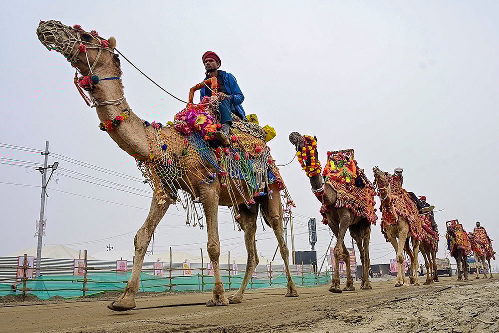 | Photo: PTI : Mahakumbh 2025