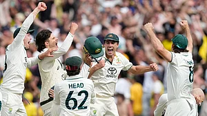 AP : Australia celebrate after winning the fourth Test against India in Melbourne.