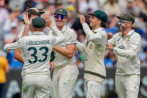 India Vs Australia, 4th Test Day 5: Australian players celebrates the wicket of India's Rishabh Pant