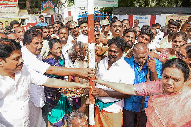 Jallikattu festival