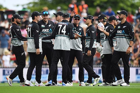 NZ Vs SL 3rd T20I: New Zealand players celebrate a wicket