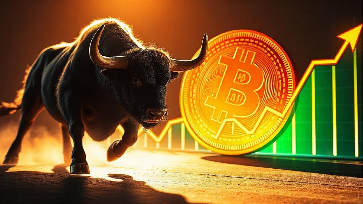 Next Crypto Bull Run