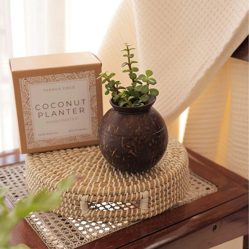 Coconut shell-shaped planter pots