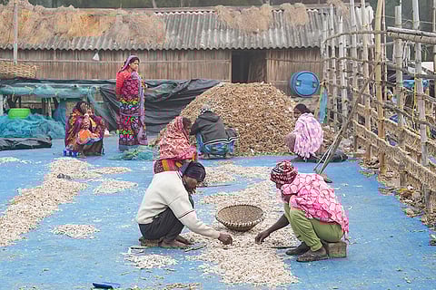 Standalone: Fishing community in West Bengal