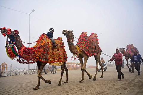Preparations for Maha Kumbh Mela