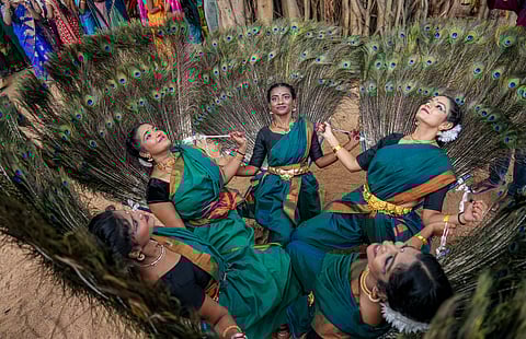 Pongal festival celebration