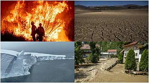 AP : Held in Belém, COP30 was expected to deliver the long-awaited global roadmap for phasing out fossil fuels.