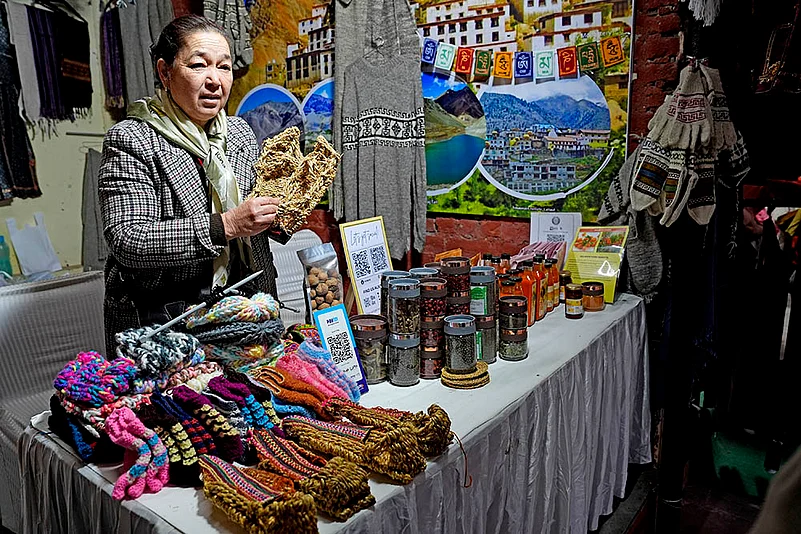 Him Mahotsav at Dilli Haat INA Market in Delhi: 10