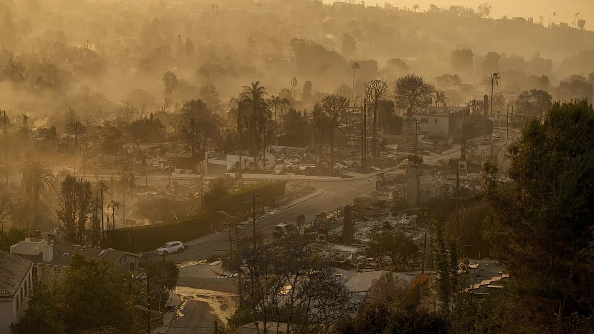 AP : Aftermath of Palaside fires