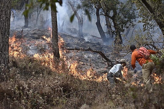Hills In Flames: The Growing Threat Of Forest Fires In India’s North