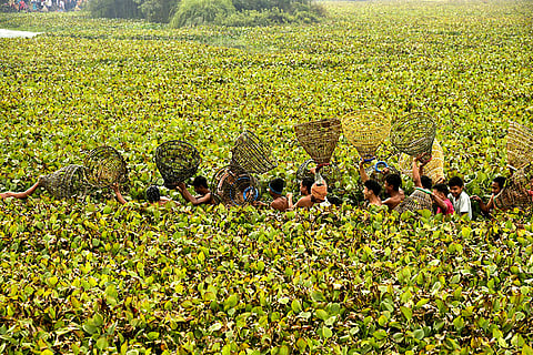 Magh Bihu celebrations