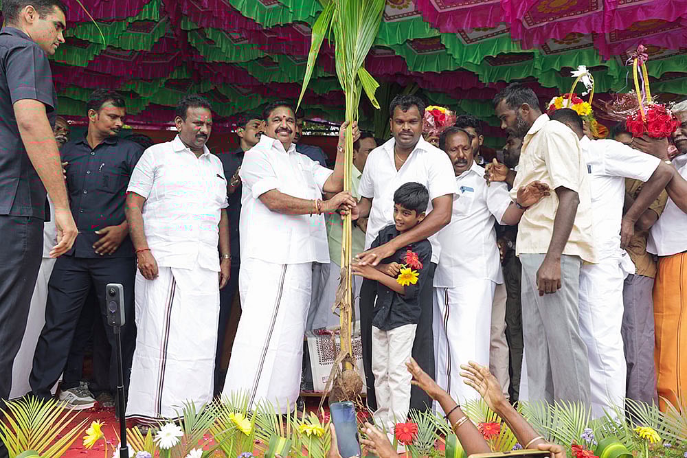 | Photo: PTI : Pongal celebration