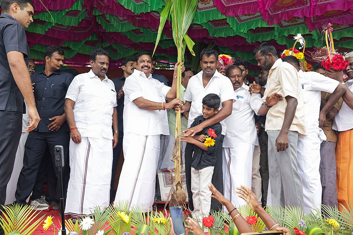 Pongal celebration