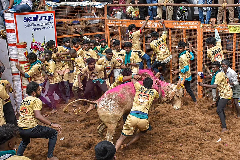 Pongal 2025 celebrations Avaniyapuram Jallikattu in Madurai_4