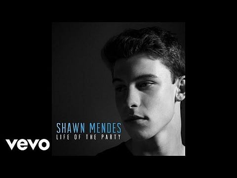 Life of the Party by Shawn Mendes