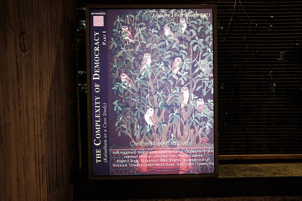 The poster of The Complexity of Democracy