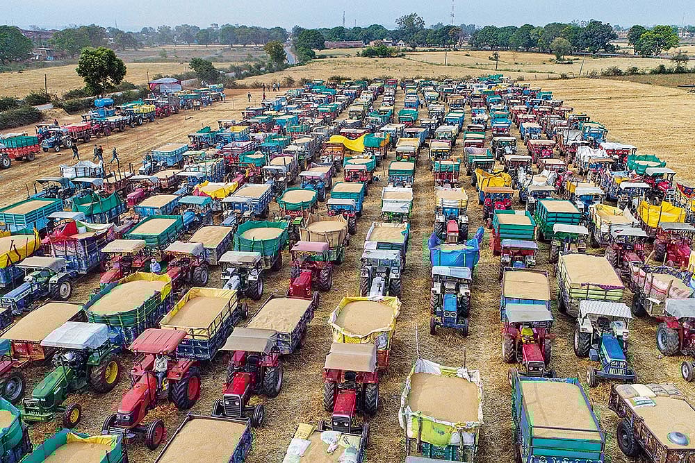 | Photo: PTI : The Agony of Waiting: Farmers line up their tractors with wheat grain at a wholesale market in Jabalpur
