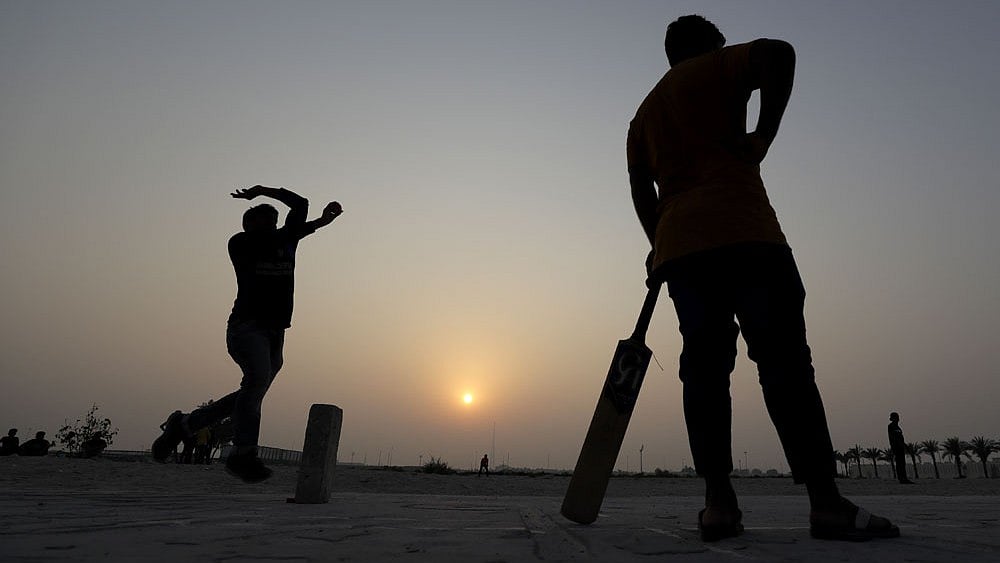 File : Representative image.