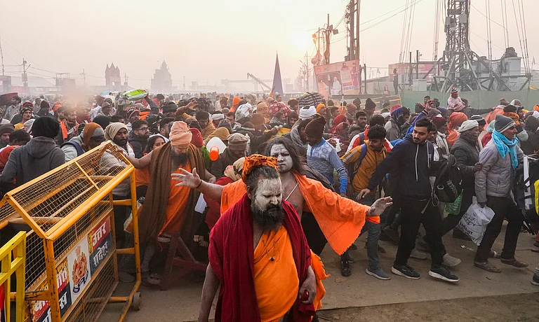Seers at Mahakumbh on Wednesday - PTI