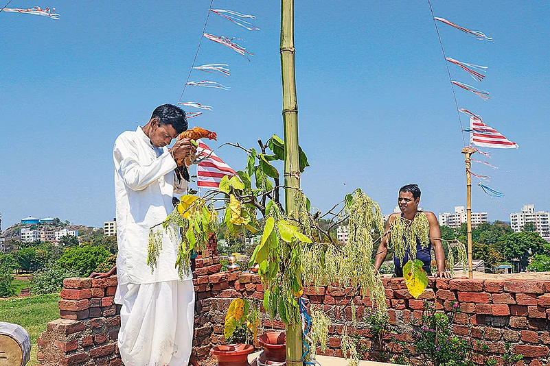 A man worshipping in a Sarna Sthal during Sarhul Pooja in Jharkhand