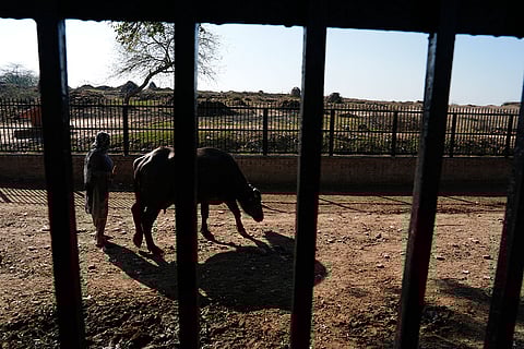 Archaeological site at Rakhigarhi
