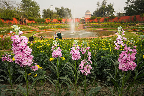 Amrit Udyan at Rashtrapati Bhawan to be opened