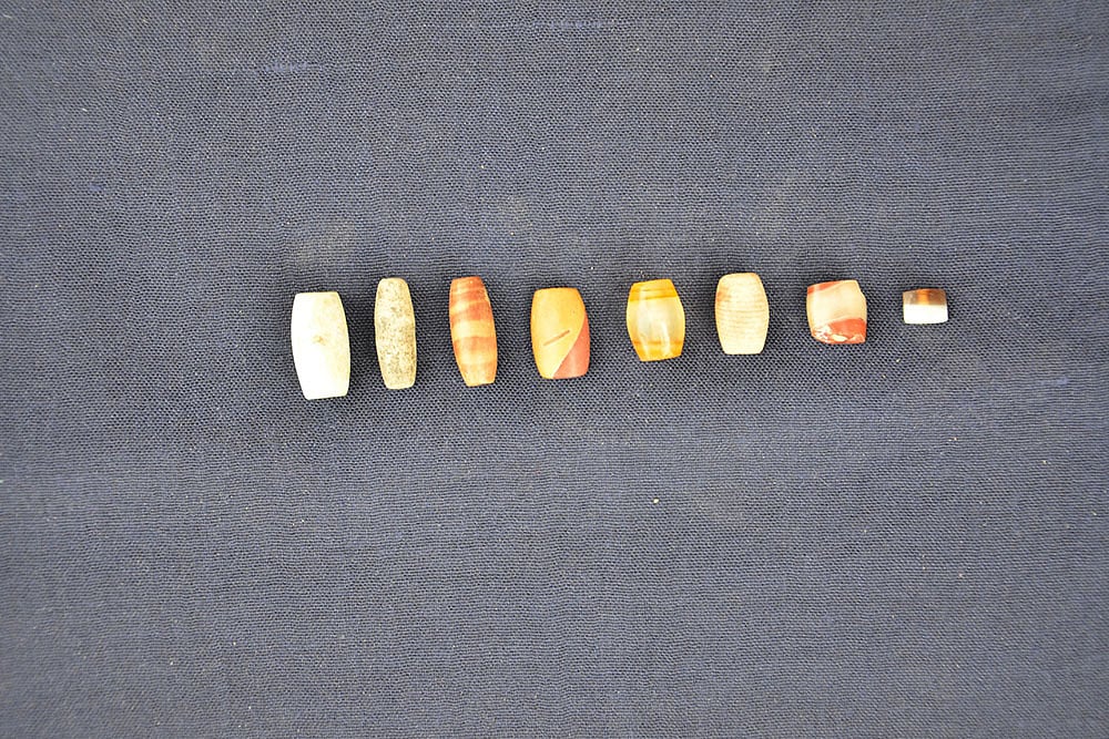 ASIs Excavation of Harappan site of Rakhigarhi in Hisar    