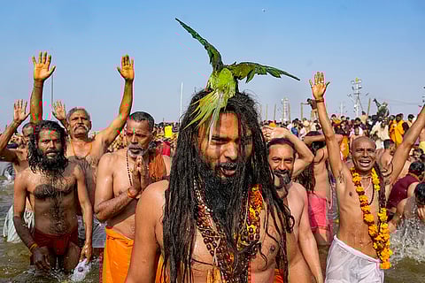 Maha Kumbh Mela 2025: 'Amrit Snan' on Basant Panchami