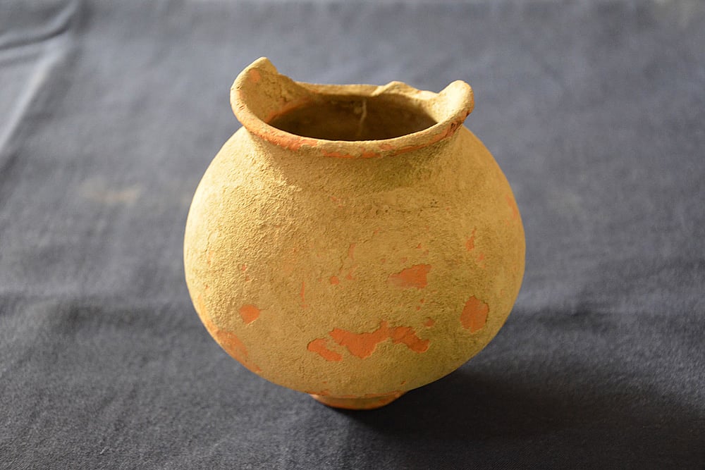 ASIs Excavation of Harappan site of Rakhigarhi in Hisar