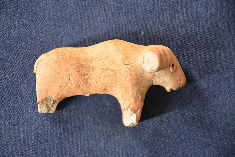 ASIs Excavation of Harappan site of Rakhigarhi in Hisar