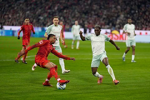 Bundesliga 2024-25: Bayern's Michael Olise fights for the ball with Bremen's Derrick Koehn