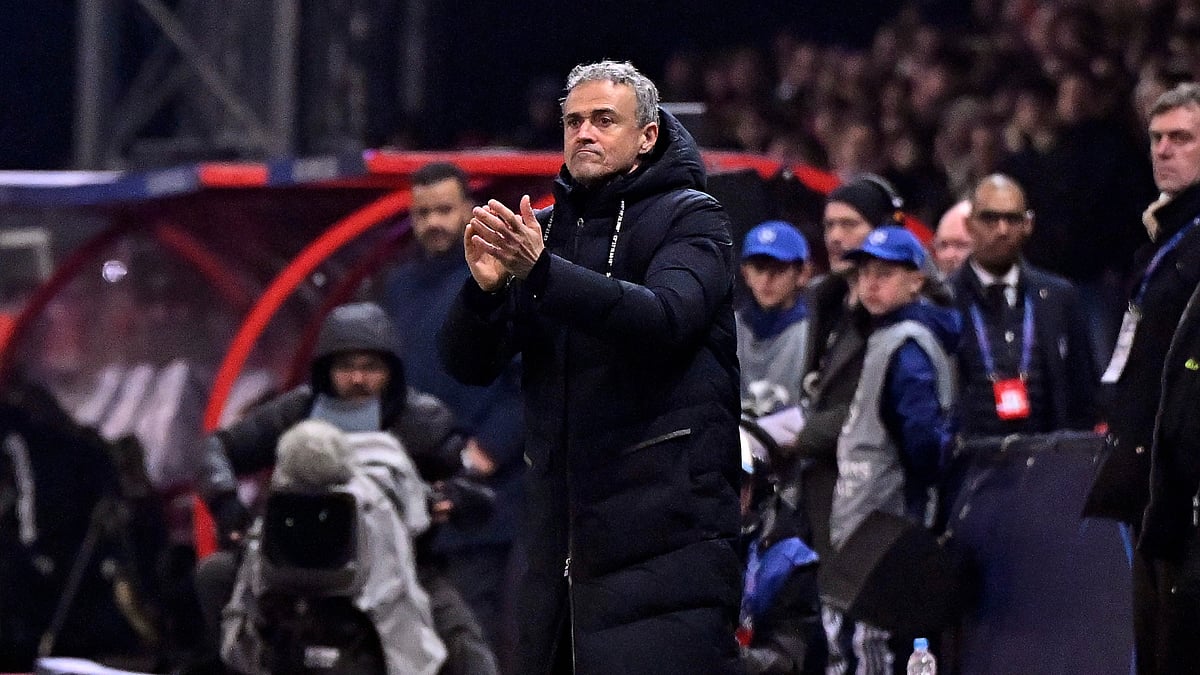 Luis Enrique during PSG's win over Toulouse