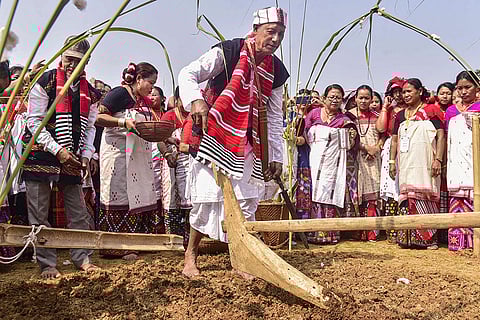 Ali Aye Ligang festival