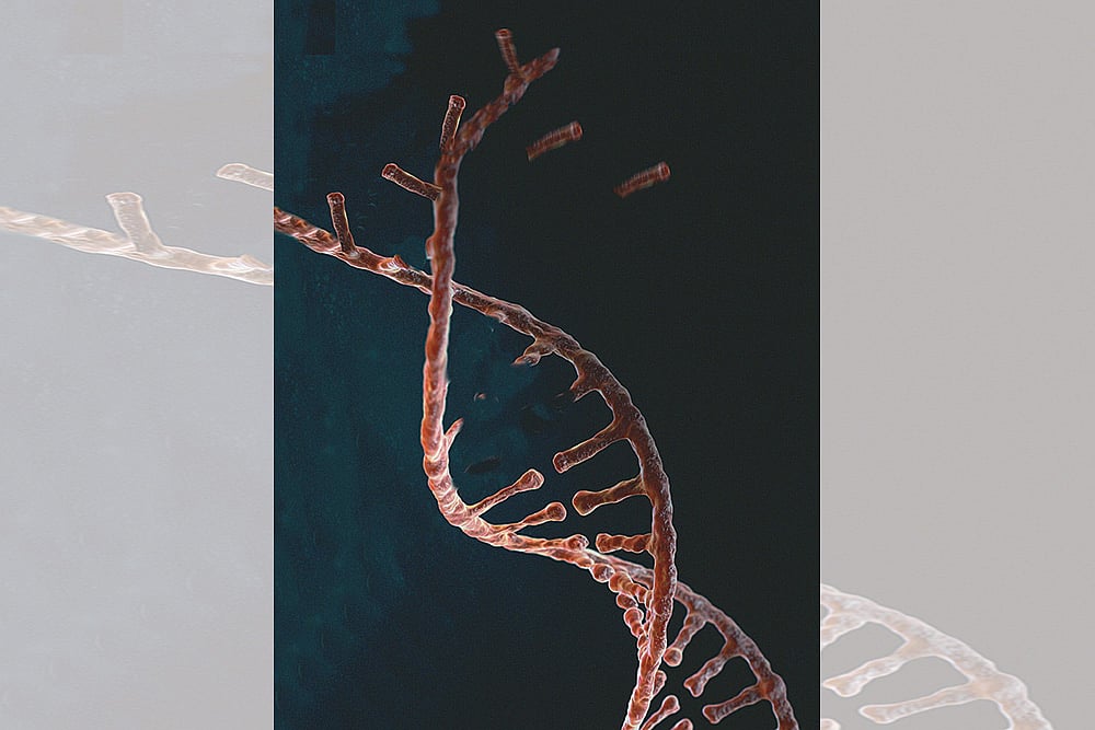 Illustration: Vikas Thakur